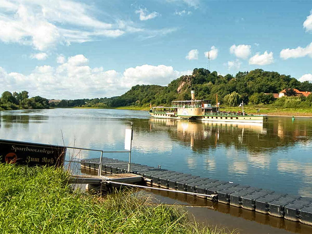 Foto mit Blick auf die Elbe und einen Raddampfer